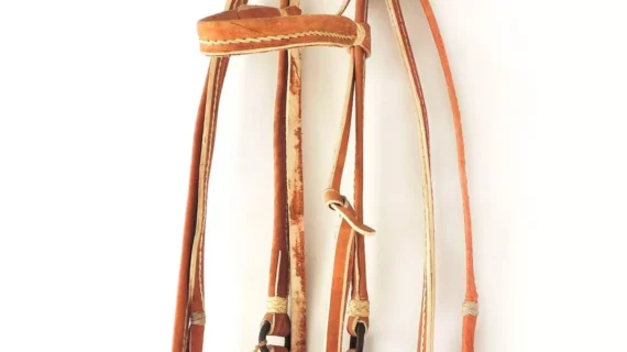 Cabezada y riendas de cuero crudo para petizo