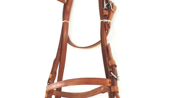 Cabezada y riendas de suela para petizo
