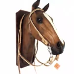 Cabezada y riendas de cuero crudo económica