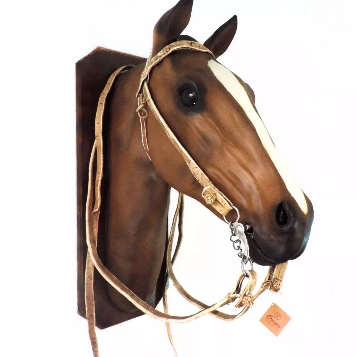 tcr-417024-1772134762.webp Cabezada y riendas de cuero crudo económica - Image 1