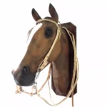 Cabezada y riendas de cuero crudo económica - Image 2