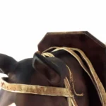 Cabezada y riendas de cuero crudo económica - Image 4