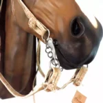 Cabezada y riendas de cuero crudo económica - Image 3