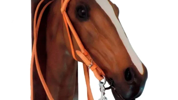 Cabezada y riendas de suela natural doble