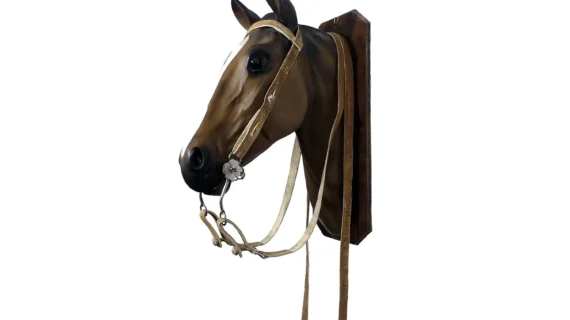 Cabezada y riendas de cuero sobado modelo pampa con botón