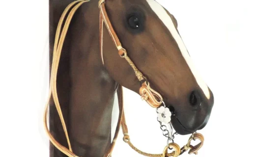 Cabezada y riendas de cuero crudo con macho trenzado