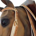 Cabezada y riendas de cuero sobado modelo pampa con botón y moño - Image 3