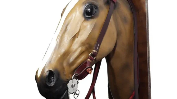 Cabezada y riendas de suela simple con argollas de bronce