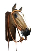 Cabezada y riendas de suela simple con argollas de bronce - Image 5