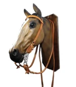 Cabezada y riendas de suela simple con argollas de bronce - Image 6