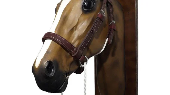 Cabezada de suela doble marrón para amansar