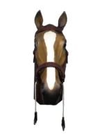 Cabezada de suela doble marrón para amansar - Image 3