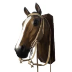 Cabezada y riendas de cuero crudo con macho trenzado y hebilla