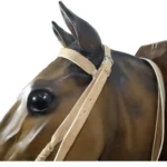 Cabezada y riendas de cuero crudo con macho trenzado y hebilla - Image 7