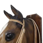 Cabezada y riendas de cuero crudo sobado doble con macho - Image 4