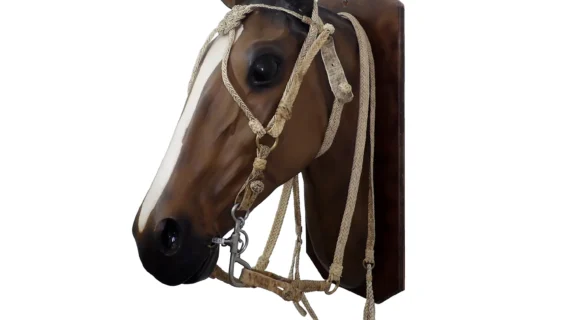 Cabezada y riendas de cuero crudo trenza chata con nudo frentero