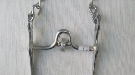 Freno de hierro niquelado con coscoja pata 16