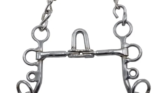 Freno puente mojarrita de hierro niquelado pata 13