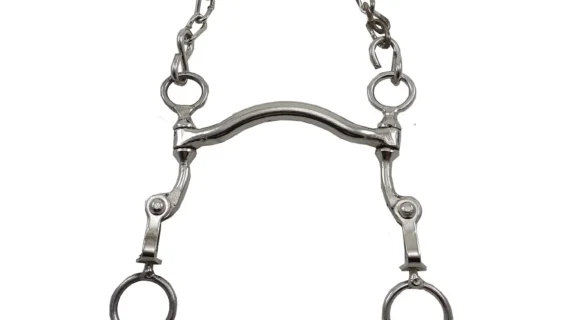 Freno medio puente peruano pata 10