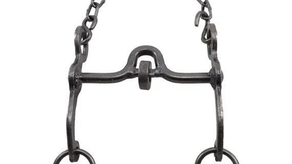 Freno de hierro pulido con coscoja pata 13