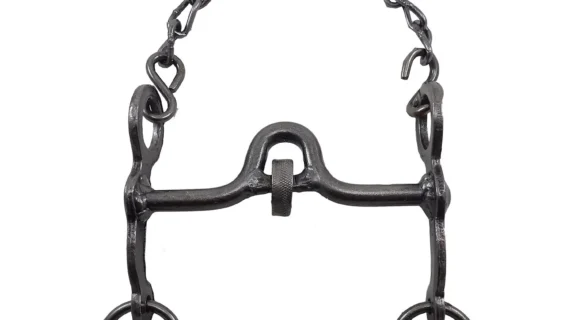 Freno de hierro pulido con coscoja pata 10