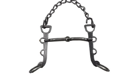 Freno filete articulado de hierro pulido