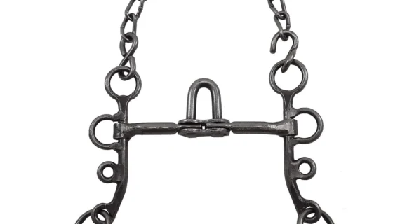 Freno puente mojarrita de hierro pulido pata 13