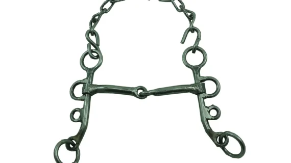 Freno filete mojarrita de hierro pulido pata 13