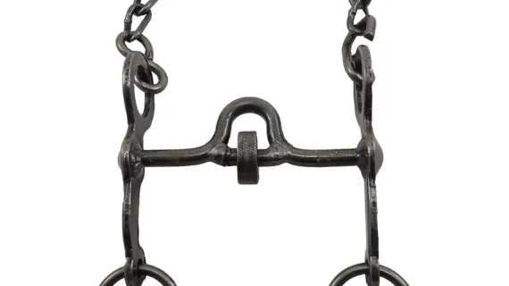 Freno de hierro pulido con coscoja para petizo