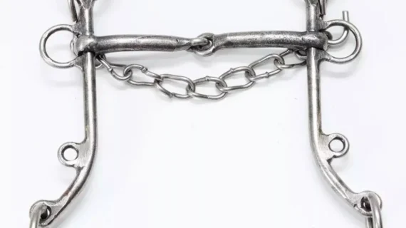 Freno filete de hierro pulido pata 16