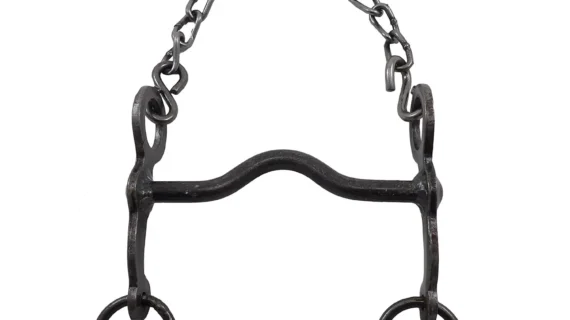 Freno medio puente de hierro pulido pata 10