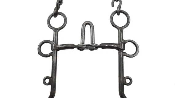 Freno puente de hierro pulido pata 20