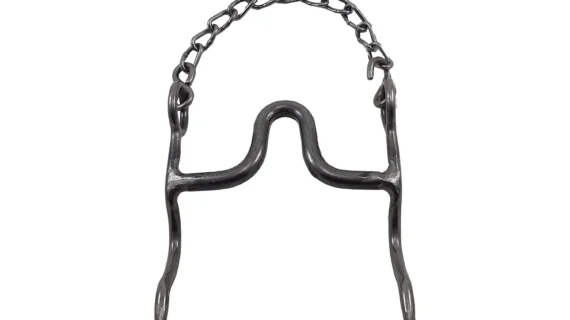 Freno pecho paloma de hierro pulido pata fija