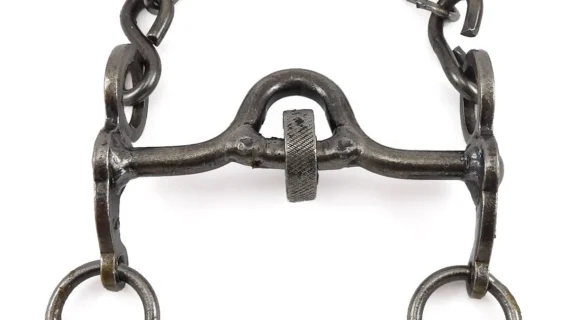 Freno de hierro pulido con coscoja para pony