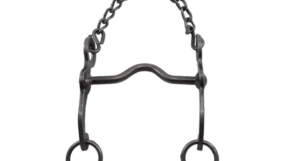 Freno medio puente de hierro pulido pata 13