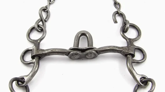 Freno puente mojarrita de hierro pulido pata 10