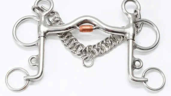 Freno pelham medio puente pata corta de acero inoxidable con rollo de cobre