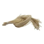 Tientos de chivo por 100 unidades - Image 2