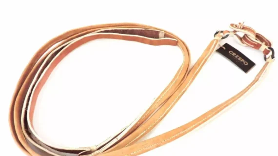 Riendas de cuero crudo doblada cosidas con tiento y argolla