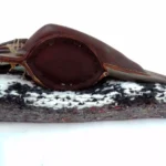 Recadito armado de suela color marrón - Image 2