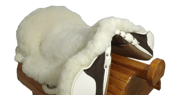 Recado chileno común con pellón blanco