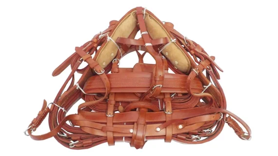 Guarnición de sulky 16 lineas