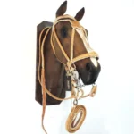 Juego 4 piezas de cuero crudo doble cosido con tiento