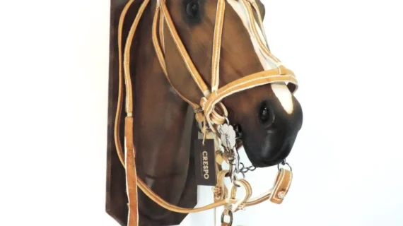 Juego 4 piezas de cuero crudo doble cosido con tiento