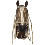 Juego 4 piezas trenzado redondo - Image 2