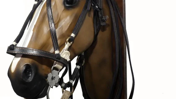 Juego 4 piezas de suela negra con presillas de cuero crudo