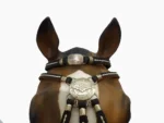 Juego 5 piezas de suela con bombas de alpaca - Image 6