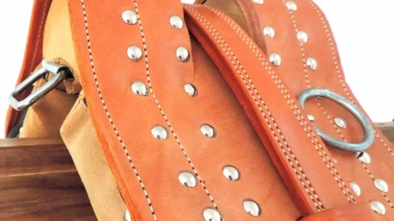 Silleta especial para carro