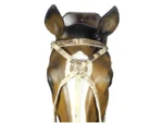 Juego de 4 piezas de cuero de búfalo con argollas de bronce - Image 2