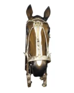 Juego de 4 piezas de cuero de búfalo con argollas de bronce - Image 4